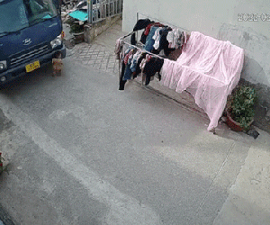 Bé trai bị xe tải nuốt chửng, cái kết khiến ai nấy thở phào