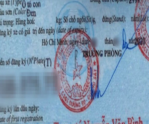 Chuyên gia nói gì về cà-vẹt ô tô sai tiếng Anh?