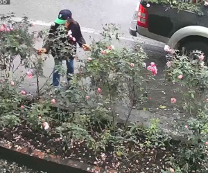 Đi ô tô nhưng người phụ nữ có hành động khiến người xem không khỏi ngao ngán: 'Ý thức quá kém'
