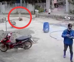 Vụ bắn chết hàng xóm rồi tự sát: Công an nói gì về thông tin cáo buộc 'vô trách nhiệm'?