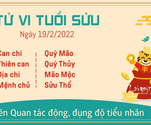 Tử vi thứ 7 ngày 19/02/2022 của 12 con giáp: Dần đón tài lộc, Sửu đề phòng tiểu nhân