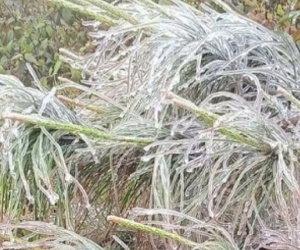 Xuất hiện băng đá ở Bình Liêu (Quảng Ninh)