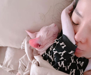 Lệ Quyên đáp trả cực gắt khi thú cưng bị chê 'như quái vật'