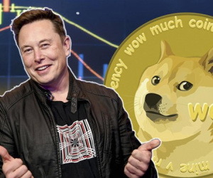 Xôn xao chuyện Elon Musk gõ tiếng Việt trên Twitter?