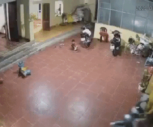 Hãi hùng cảnh bò 'điên' đuổi vào tận cổng, lao vào nhà dân tấn công hai mẹ con bé gái