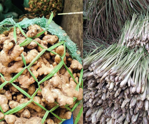 Chỉ hai giờ bán vèo 4 tạ: Gừng, sả rẻ lắm, bà con thoải mái xông