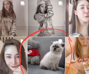 Loạt bài đăng của nữ diễn viên 'Chiếc Lá Cuốn Bay' trên Instagram biến mất bí ẩn sau tai nạn, ai đã nhúng tay vào?