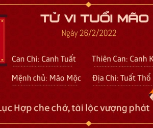 Tử vi thứ 7 ngày 26/02/2022 của 12 con giáp: Mão đón tài lộc, Tị đề phòng tiểu nhân