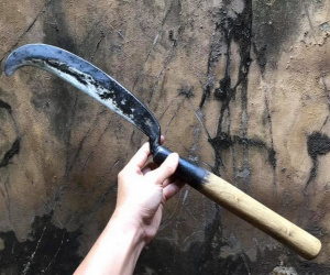 Con dùng rựa chém bố tử vong rồi trốn vào rừng