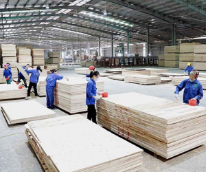 Chưa qua tháng Giêng dồn dập báo tin kỷ lục: Gom đủ 50 tỷ USD