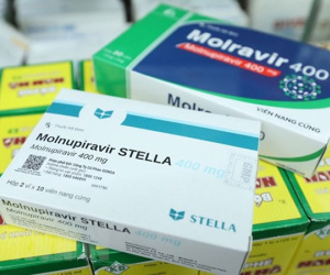 Mới: Bộ Y tế bổ sung hướng dẫn sử dụng 2 loại thuốc kháng virus Molnupiravir và Remdesivir trong điều trị Covid-19