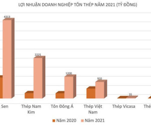 Buôn sắt thép thắng lớn nhưng DN này lại vẫn lỗ đậm, giải thể, dính đại án
