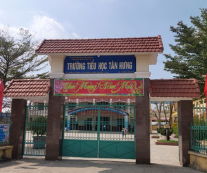 Hải Phòng: Cô giáo chủ nhiệm quan hệ bất chính với phụ huynh và đã sinh một con gái