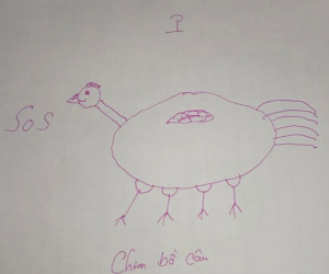 Học sinh làm văn 'tả chim' khiến phụ huynh xấu hổ không có chỗ chui, dân tình cười ra nước mắt: 'Thật thà quá!'