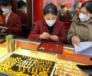 Liều mua vàng trên đỉnh, sau 1 tuần kiếm lãi không ngờ