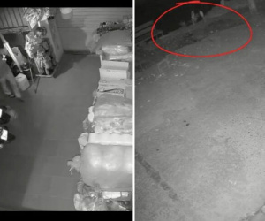 Giữa đêm nghe tiếng động lạ, chủ nhà cầm gậy kiểm tra rồi chạy thục mạng, xem lại camera vẫn 'đau tim'