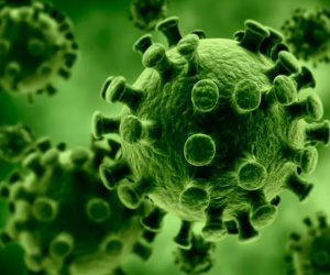 Nghiên cứu cho thấy những người mắc COVID-19 có thể khó loại bỏ hoàn toàn virus ra khỏi cơ thể