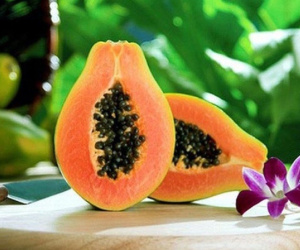 Những lưu ý “vàng” khi ăn đu đủ không phải ai cũng biết