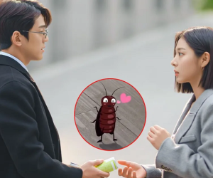 Hẹn Hò Chốn Công Sở: Mối tình của cặp đôi phụ được se duyên bởi... một chú gián