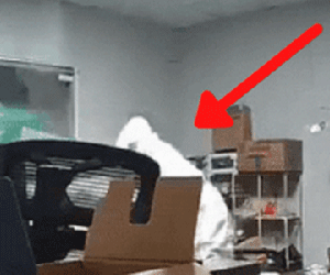 Đoạn CCTV gây ám ảnh: Nhân viên y tế đến nhà đánh đập tàn bạo chó cưng đến chết khi chủ nhà đi cách ly vì tiếp xúc với bệnh nhân Covid