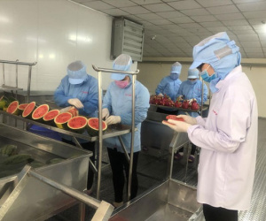 Vướng chiến sự Nga-Ukraine: Doanh nghiệp Việt chuyển hướng thị trường