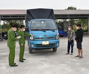 Lái ôtô tải từ Nam Định qua Ninh Bình trộm trâu