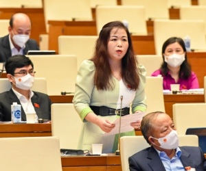 Đại biểu Quốc hội: Giảm thuế môi trường là bất hợp lý, vì sao không giảm thuế VAT, tiêu thụ đặc biệt, thuế nhập khẩu với xăng?