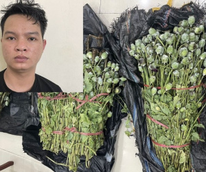 Nam thanh niên giấu hơn 30kg cây thuốc phiện trong cốp xe ô tô, mang lên phố cổ Hà Nội bán