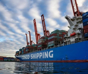Đề nghị Bộ Công an phối hợp với Interpol điều tra vụ 36 lô điều nguy cơ mất trắng