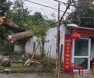 Mưa đá kèm lốc xoáy, hàng trăm ngôi nhà ở Nghệ An bị tốc mái