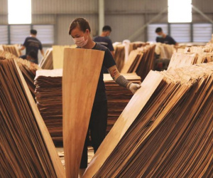 11 nhóm sản phẩm xuất khẩu có nguy cơ bị áp dụng biện pháp phòng vệ thương mại