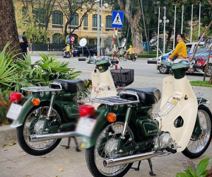 41 năm tuổi, cặp đôi Honda Cub 81 vẫn có giá 300 triệu
