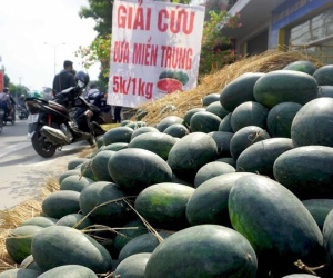 Dưa hấu 5 nghìn, thanh long 8 nghìn: Phơi nắng vỉa hè chờ giải cứu