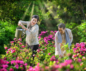 Lối về miền hoa: Cặp đôi chú Lâm - chị Hoa tung ảnh cưới đẹp mãn nhãn khiến dân tình phát cuồng