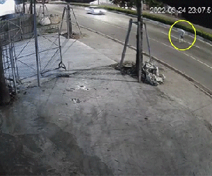 Xe con phóng tốc độ kinh hoàng, đâm người qua đường tử vong rồi bỏ chạy