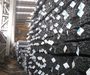 Bão giá nổi khắp nơi, thà ngồi im không làm gì còn hơn bị quật tả tơi