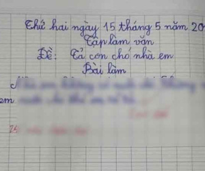 Làm văn tả chú chó nhà em, học trò tiểu học viết vỏn vẹn 2 câu khiến cô giáo 'cạn lời'