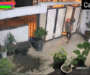 Đêm hôm leo tường hì hục ăn cắp cây cảnh, tên trộm 'bất ngờ' phát hiện 1 điều không tưởng từ chủ nhà