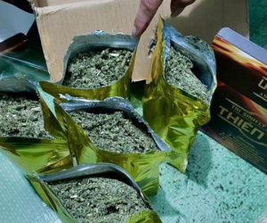 Nhóm thanh niên giấu ma tuý trong thuốc chữa yếu sinh lý