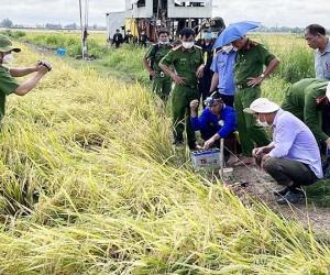 Gã đàn ông ở miền Tây giấu thi thể hàng xóm ngoài ruộng
