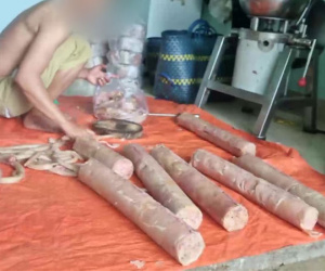 'Phù phép' thịt heo chết thối thành… giò chả