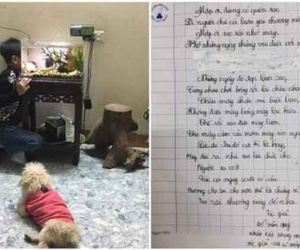 Học sinh lớp 4 gây 'bão mạng' với bài thơ tạm biệt chó cưng, đoạn cuối khiến netizen cười xỉu