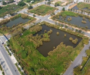 Hai doanh nghiệp xin trả góp tiền trúng đấu giá đất Thủ Thiêm sẽ bị phạt 1 tỷ mỗi ngày