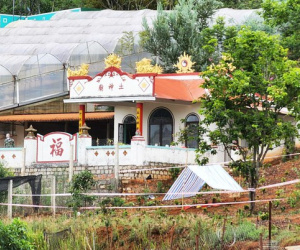 Vụ giết vợ, chôn xác phi tang: Thủ đoạn đánh lạc hướng của gã con rể