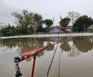 Ổ nhóm đánh bạc dưới hình thức...câu cá