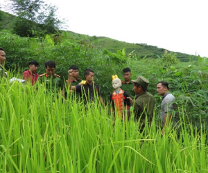 Hành trình phá án: Cái chết tức tưởi của người phụ nữ dưới khe nước cạn