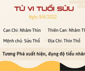 Ảnh minh họa