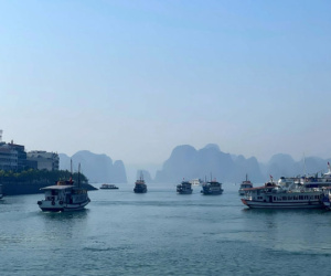 Tàu khách nối đuôi nhau ra vịnh Hạ Long, cảnh chưa từng thấy hơn 2 năm qua