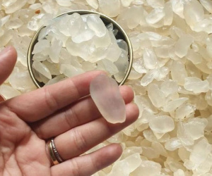 Loại 'gạo khổng lồ' trong veo, giá đắt đỏ bà nội trợ vẫn thích mê