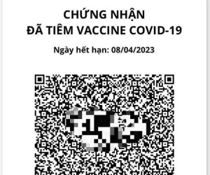 Gần 1 triệu người đã có hộ chiếu vắc-xin, làm thế nào để biết mình được cấp hay chưa?